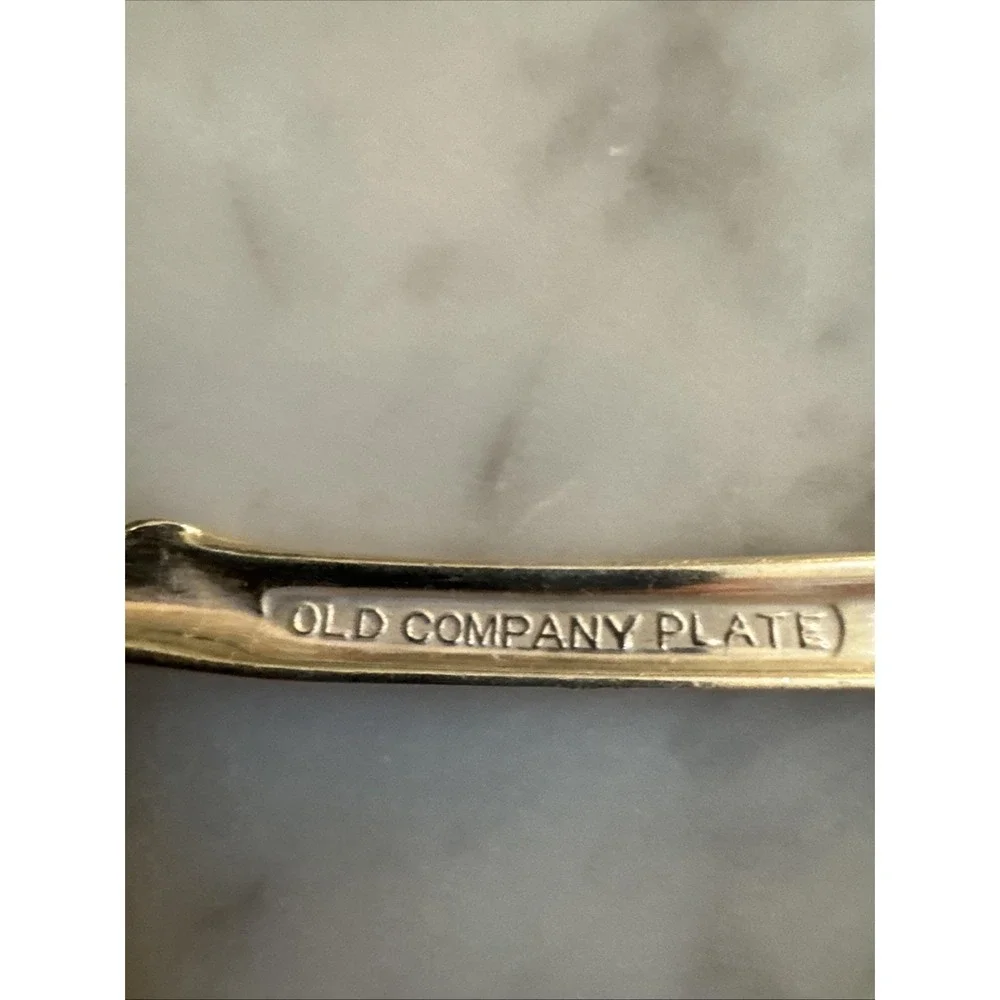 Radiance by Old Company Plate International Silverplate Dinner Salad Forks-6 Pcs